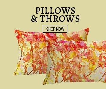 Pillows & Throws