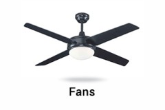 Fans