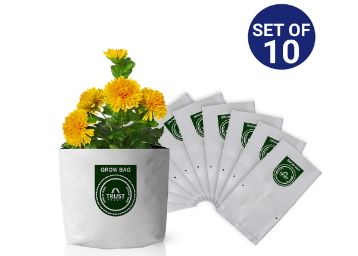 Trust Basket Poly Grow Bags UV Stabilized -10 Qty at Rs. 254