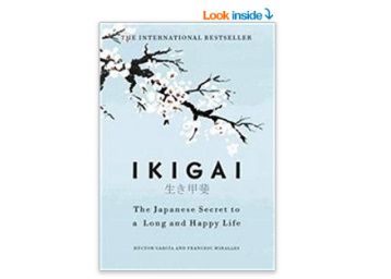 Flat 24% off on Ikigai at Rs. 380