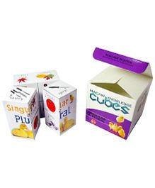 Macaw Grammar Cubes - Singular And Plural