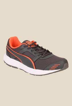 Puma Harbour DP Brown & Grey Running Shoes