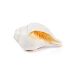 Pooja Accessories