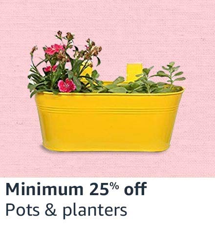Pots & Planters