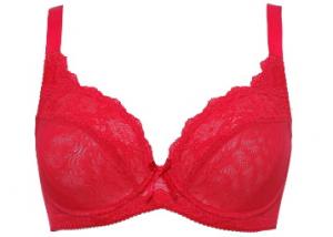 XMAS Sale - Buy 3 Bras at Just Rs.198 Each + Free Shipping