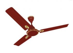 Get Maharaja Whiteline Zest Deco Fan (Brown) at flat 60%Off
